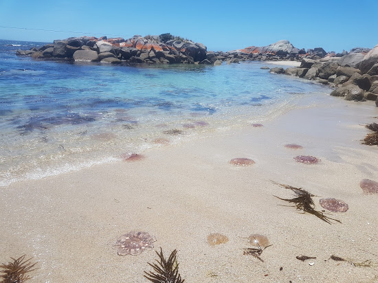 Gardens Lagoon Beach