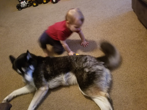 Pet Groomer «Precious Paws», reviews and photos, 221 N Marble St, Rockmart, GA 30153, USA