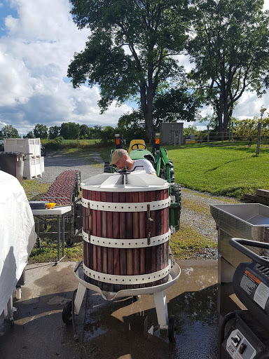 Winery «Deer Run Winery», reviews and photos, 3772 W Lake Rd, Geneseo, NY 14454, USA