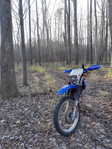 Trails of Piney Grove