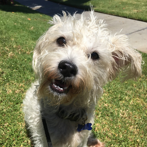 Pet Supply Store «Pet Elements», reviews and photos, 6511 California Ave SW, Seattle, WA 98136, USA