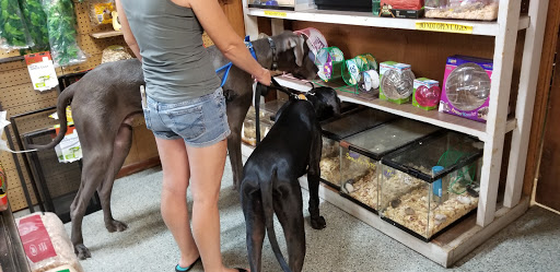 Pet Store «Fish City Pets», reviews and photos, 196 2nd St NW, Barberton, OH 44203, USA