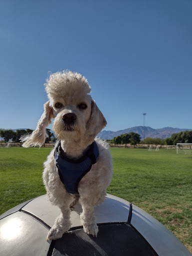 Pet Supply Store «Pet Care Inc.», reviews and photos, 2500 East Cesar E Chavez Avenue, Los Angeles, CA 90033, USA