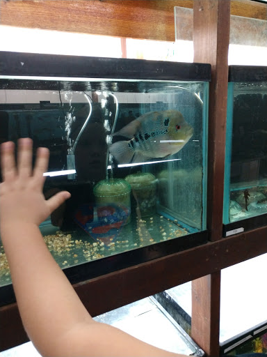 Pet Store «Forest Lake Pets», reviews and photos, 120 Lake St N, Forest Lake, MN 55025, USA