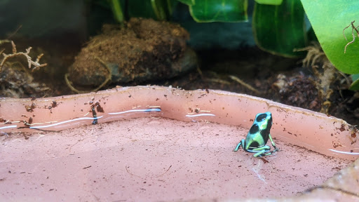 Pet Supply Store «Petco Animal Supplies», reviews and photos, 891 NE D St, Grants Pass, OR 97526, USA