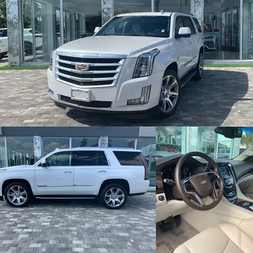 Used Car Dealer «Palmetto Sport Cars», reviews and photos, 7900 SW 8th St, Miami, FL 33144, USA