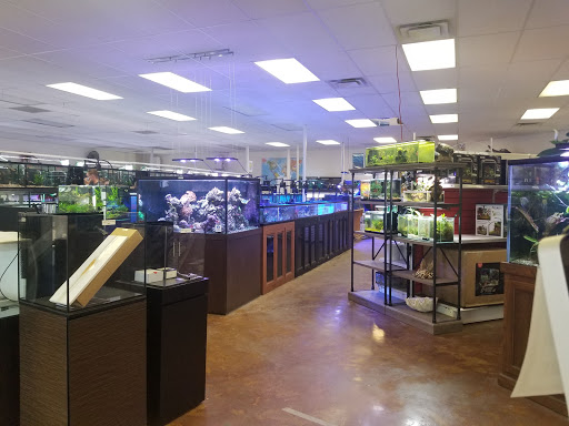 Fish Store «Aquatek Tropical Fish», reviews and photos, 8023 Burnet Rd # 1, Austin, TX 78757, USA