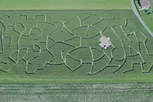 Labyrinthe de maïs image