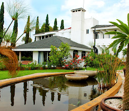 Fiesta Inn Express Puebla Explanada photo