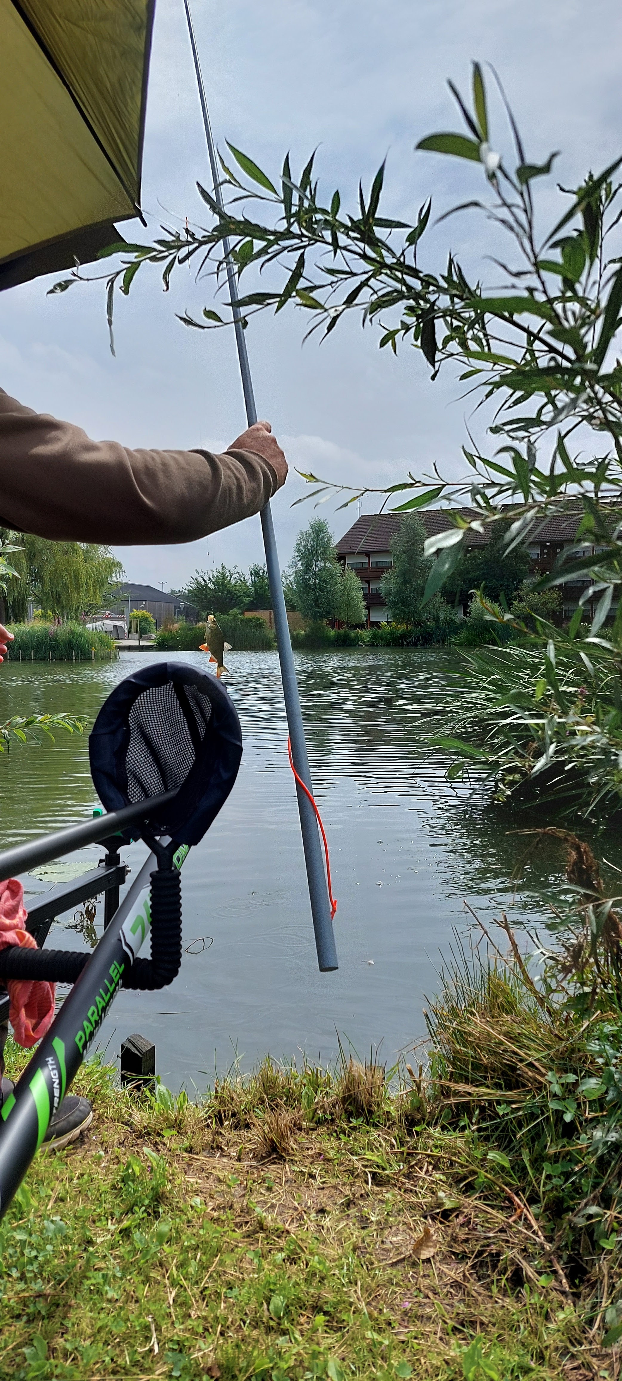 Photo n° 2 de l'avis de Angélique.e fait le 05/08/2021 à 13:23