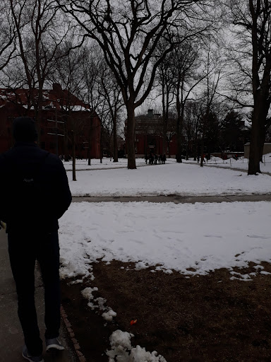 Monument «John Harvard Statue», reviews and photos, 1 Harvard Bus Tunnel, Cambridge, MA 02138, USA