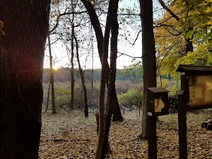 Kleinstuck Preserve - photo 7