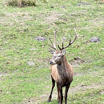Photo n°2 de l'avis de Berry.e fait le 27/11/2022 à 09:06 sur le  Hotel Forsthaus Auerhahn à Baiersbronn