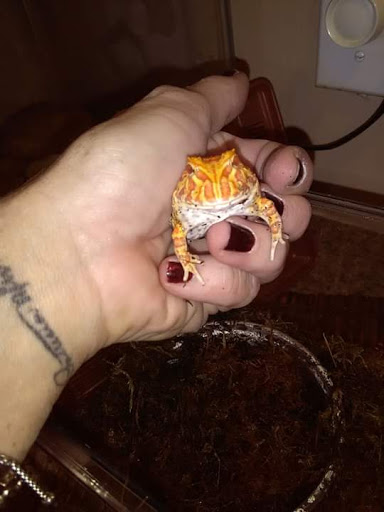 Pet Supply Store «Pet Supplies Plus», reviews and photos, 26230 Hoover Rd, Warren, MI 48089, USA