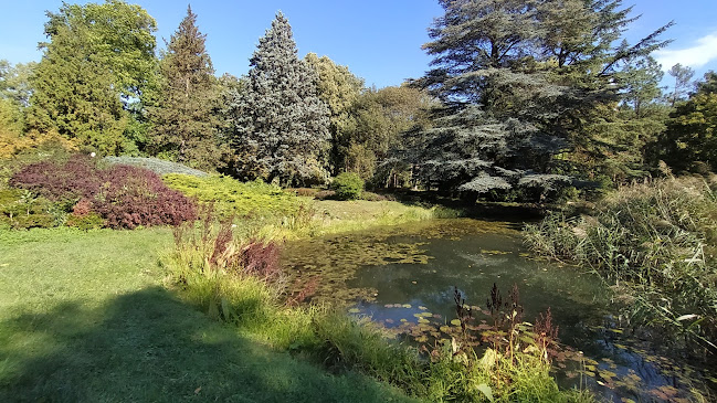 Kámoni Arborétum parkoló