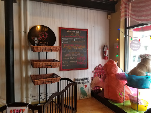 Pet Supply Store «Dog Krazy», reviews and photos, William St, Fredericksburg, VA 22401, USA