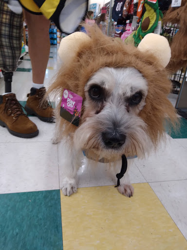 Pet Supply Store «Pet Supplies Plus», reviews and photos, 305 Sidney Baker St S #400, Kerrville, TX 78028, USA