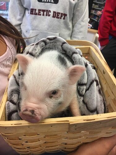 Pet Supply Store «Atlas Pet Supply», reviews and photos, 1798 Market Dr, Stillwater, MN 55082, USA