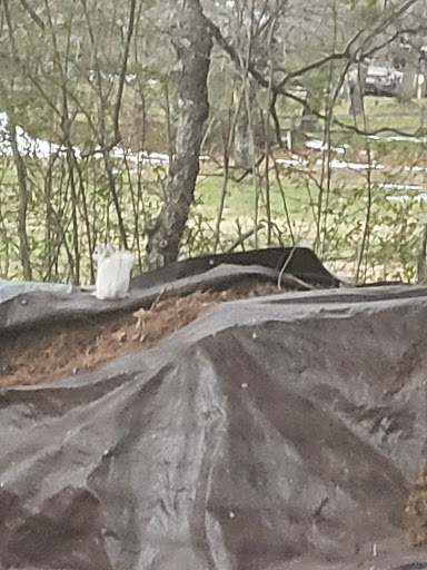 Campground «Town Mountain Travel Park», reviews and photos, 48 Town Mountain Rd, Hendersonville, NC 28792, USA