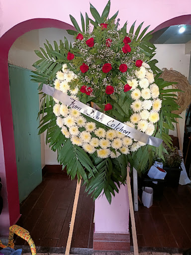Floreria El Angel – San Nicolás de los Garza