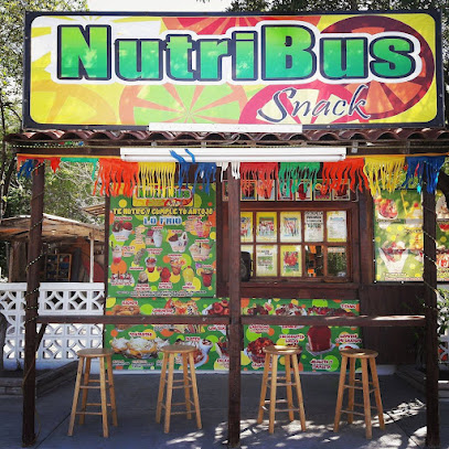 NutriBus Snack - Alameda 110, Zona Centro, 87500 Valle Hermoso, Tamps., Mexico
