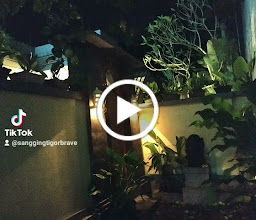 Toko Widya Sari photo