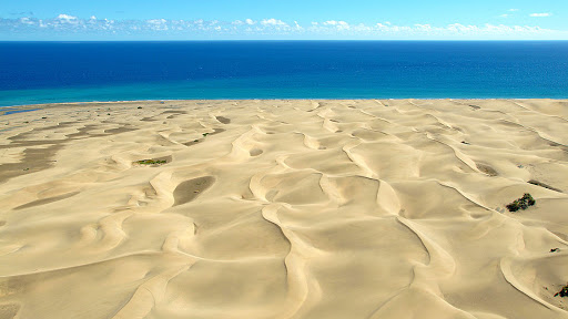 HomeLike Agencia de Gestión de alquiler Vacacional en Gran Canaria