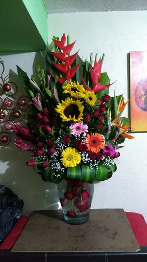 Florería Alejandro’s – Cuautitlán de Romero Rubio
