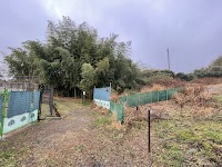明智藪