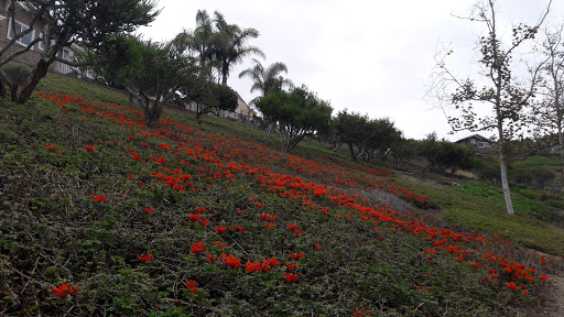 Golf Course «Encinitas Ranch Golf Course», reviews and photos, 1275 Quail Gardens Dr, Encinitas, CA 92024, USA