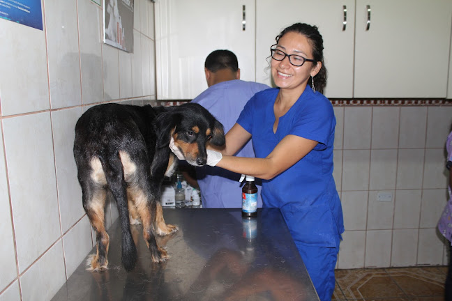 Av. Sta. Rosa de Lima 1763, San Juan de Lurigancho 15431