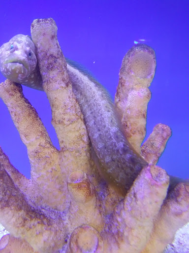 Pet Supply Store «Petco Animal Supplies», reviews and photos, 2805 E 29th Ave, Spokane, WA 99223, USA