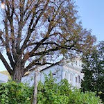 Photo n°11 de l'avis de Tieu.y fait le 21/09/2021 à 21:42 sur le  905 WINE & LUNCH BAR à San Michele all'Adige