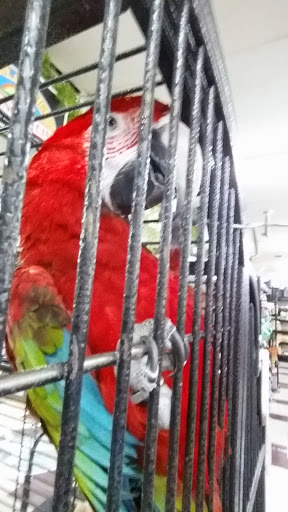 Pet Store «Salisbury Super Pet», reviews and photos, 329 Civic Ave, Salisbury, MD 21804, USA