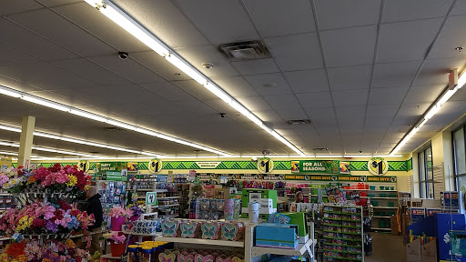 Dollar Store «Dollar Tree», reviews and photos, 31 Furlong Dr g, Revere, MA 02151, USA