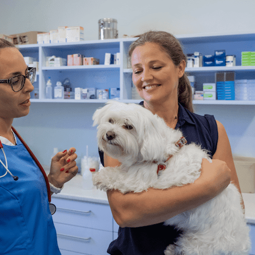 LocalVet Urgent Care image