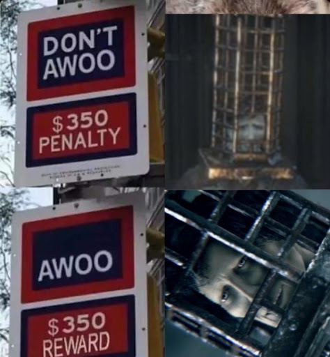 Grocery Store «Stop & Shop», reviews and photos, 54 Hazard Ave, Enfield, CT 06082, USA