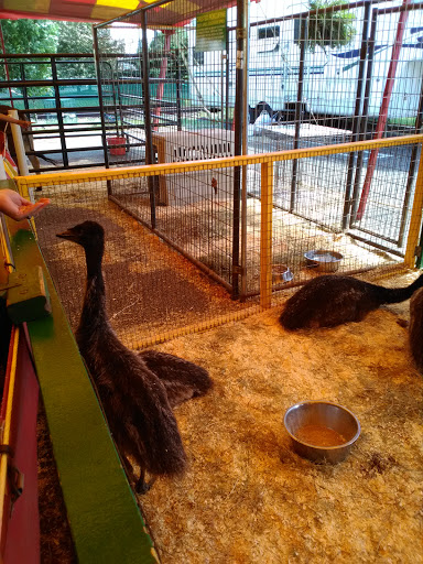 Discount Store «National Wholesale Liquidators», reviews and photos, 370 Essex St, Lodi, NJ 07644, USA