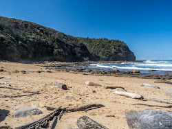 Photo de Little Beach situé dans une zone naturelle