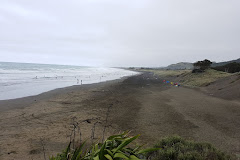 Muriwai Gannet Colony