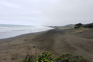 Muriwai Gannet Colony