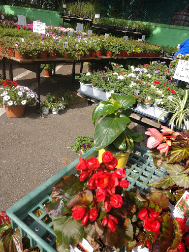 Florist «Metropolitan Plant & Flower», reviews and photos, 840 NJ-17, Paramus, NJ 07652, USA