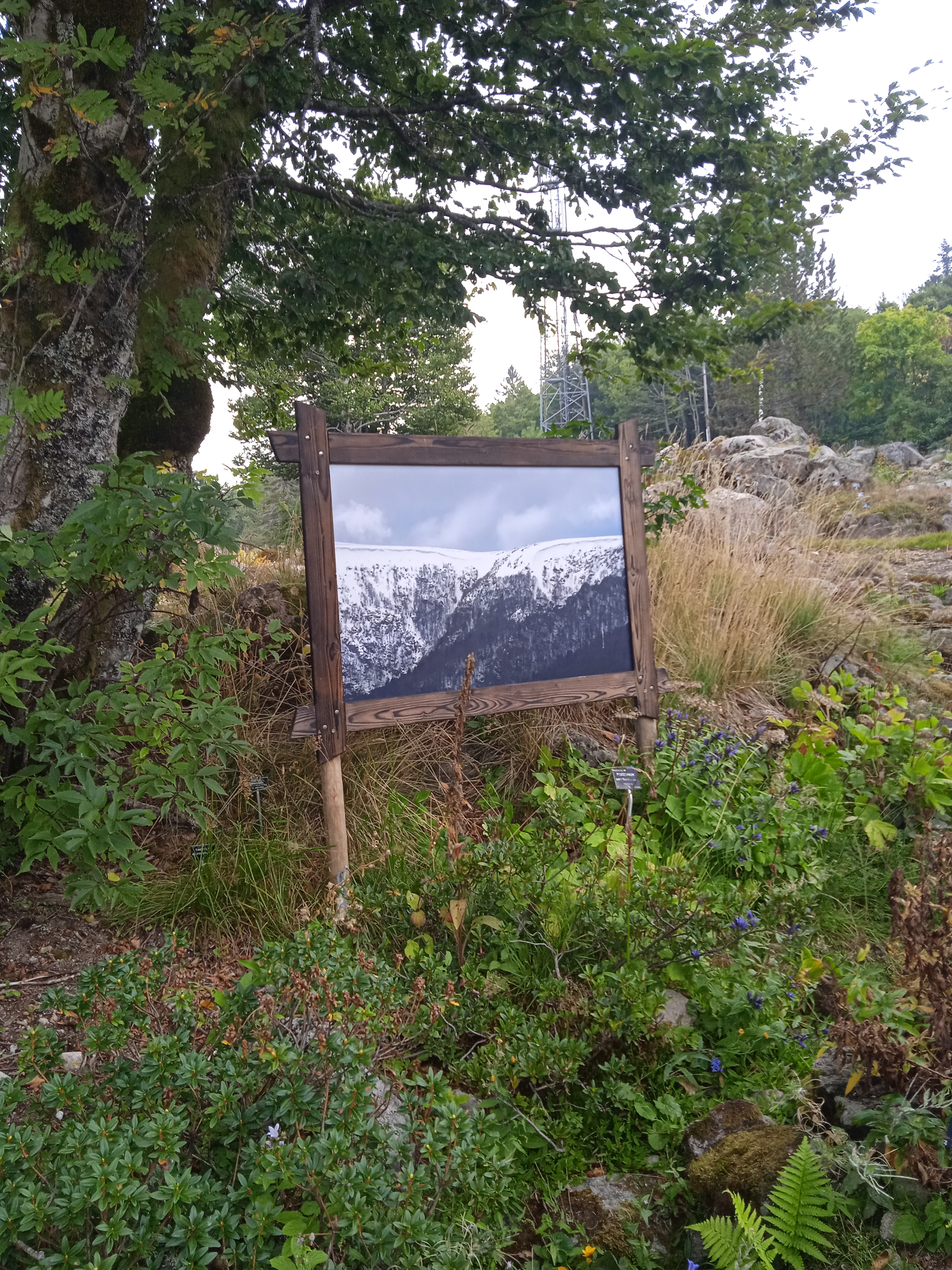 Photo n° 2 de l'avis de Françoise.o fait le 31/08/2022 à 11:04