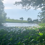 Photo n°1 de l'avis de Chiara.u fait le 07/08/2021 à 22:00 sur le  Agriturismo Tenuta La Marchesa à Novi Ligure