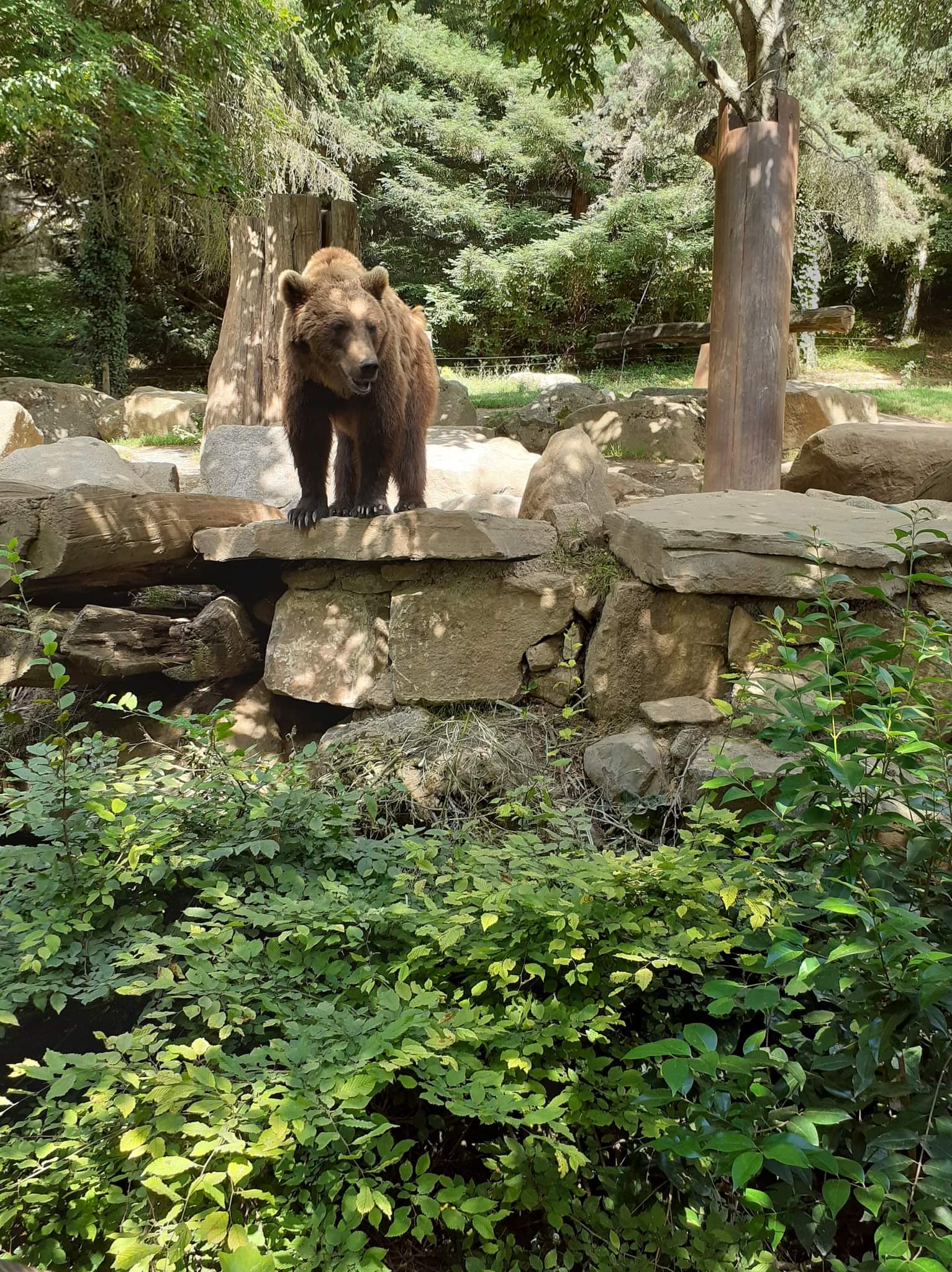 Photo n° 5 de l'avis de Dominique. fait le 18/06/2022 à 21:36