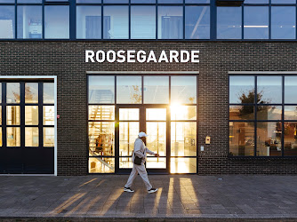 Studio Roosegaarde