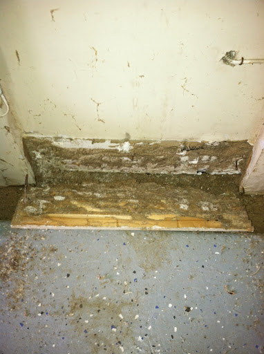 Skyline Pest Solutions of Cumming, 307 Atlanta Rd, Cumming, GA 30040, Pest Control Service