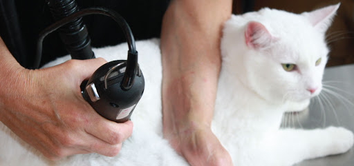 Pet Groomer «Red Bandana 4 Pets», reviews and photos, 925 Pioneer Rd, Draper, UT 84020, USA