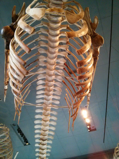 Tapas Bar «Cork Wine & Tapas Bar», reviews and photos, 90 Front St, New Bedford, MA 02740, USA