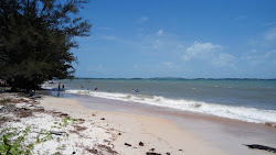 Foto van Tegar Putri Beach wilde omgeving